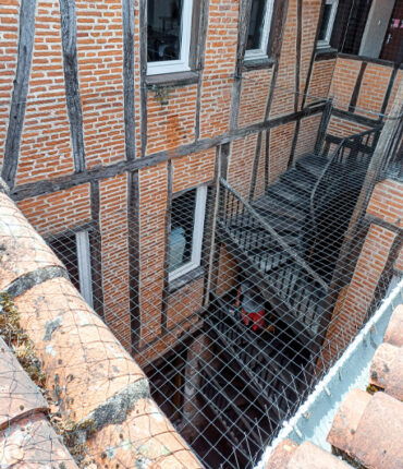 Opération de dépigeonnage pour maison, batiment moderne et ancien, immeuble en accès difficile compétence cordiste sur Toulouse et Vieille Toulouse