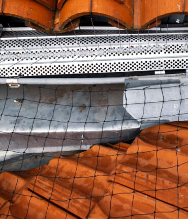 Opération de dépigeonnage pour maison, batiment moderne et ancien, immeuble en accès difficile compétence cordiste sur Toulouse et Vieille Toulouse