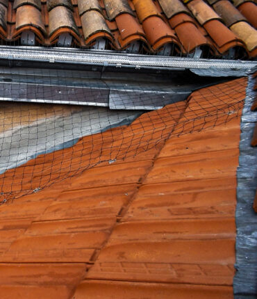 Opération de dépigeonnage pour maison, batiment moderne et ancien, immeuble en accès difficile compétence cordiste sur Toulouse et Vieille Toulouse