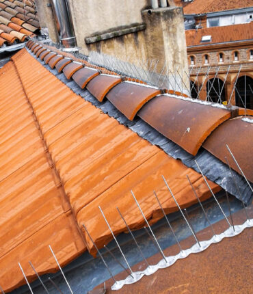 Opération de dépigeonnage pour maison, batiment moderne et ancien, immeuble en accès difficile compétence cordiste sur Toulouse et Vieille Toulouse