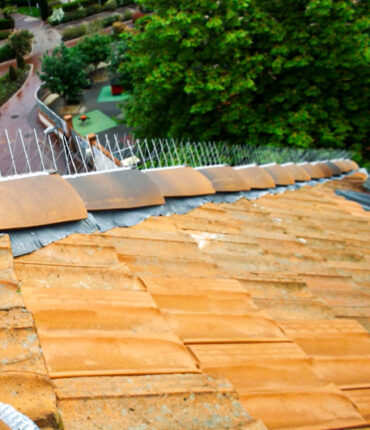 Opération de dépigeonnage pour maison, batiment moderne et ancien, immeuble en accès difficile compétence cordiste sur Toulouse et Vieille Toulouse