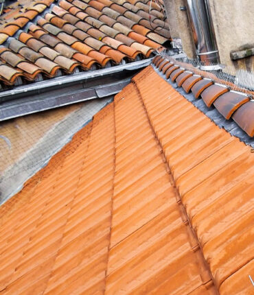 Opération de dépigeonnage pour maison, batiment moderne et ancien, immeuble en accès difficile compétence cordiste sur Toulouse et Vieille Toulouse