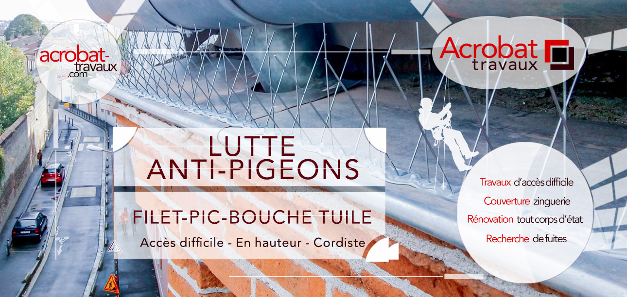 travaux-intervention-cordiste-lutte-anti-pigeons-filet-pic-bouche-tuile-protection-batiment-immeuble-Acrobat-Travaux-Vieille-Toulouse-Lacroix-Falgarde-Auzeville-Tolosane-Venerque-102025