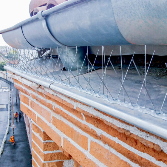 Travaux en hauteur accès difficile cordiste avec Acrobat Travaux sur Vieille-Toulouse, Lacroix-Falgarde, Pechbusque, Aureville, Auzeville