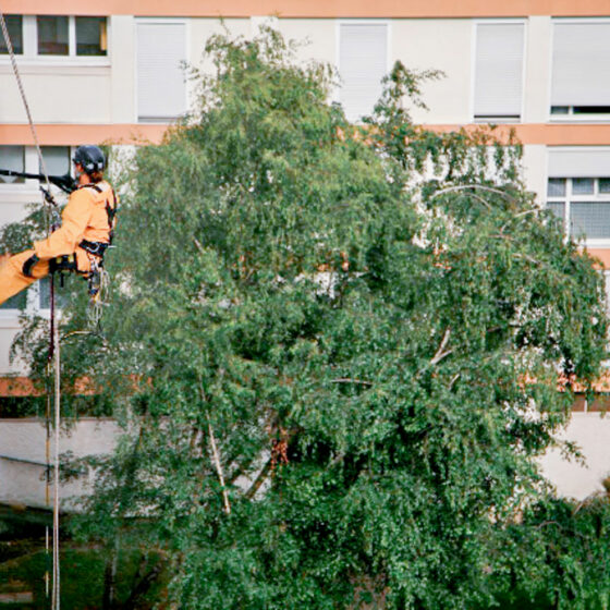 Travaux en hauteur accès difficile cordiste avec Acrobat Travaux sur Vieille-Toulouse, Lacroix-Falgarde, Pechbusque, Aureville, Auzeville