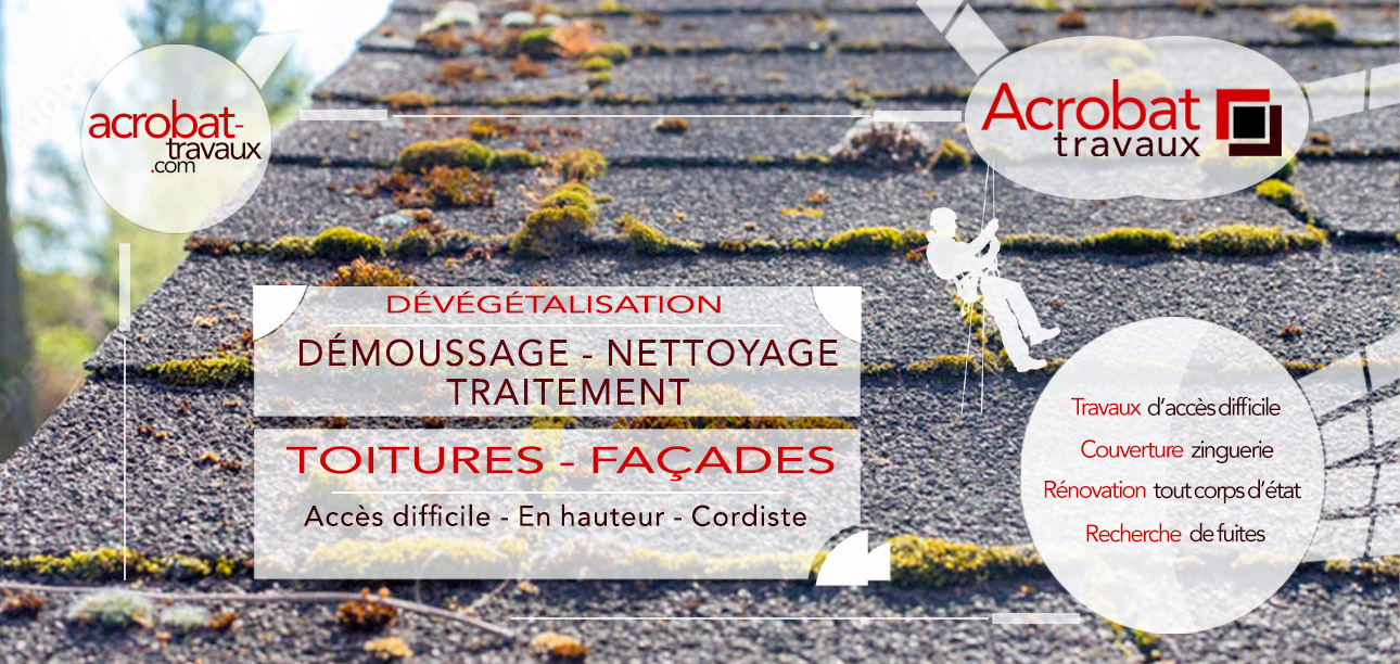 Dévégétalisation/Démoussage Maison, co-propriété, bâtiment ancien, industriel