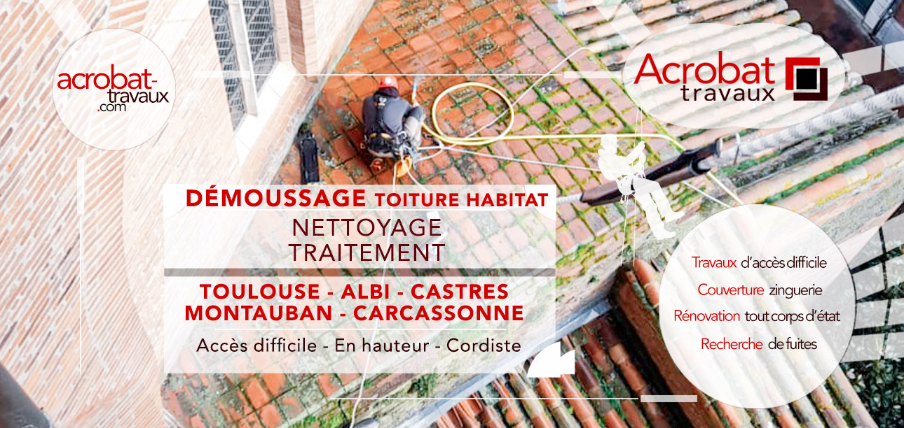 Démoussage, nettoyage, dévégétalisation, hydrofuge sur toiture maison individuelle et immeuble